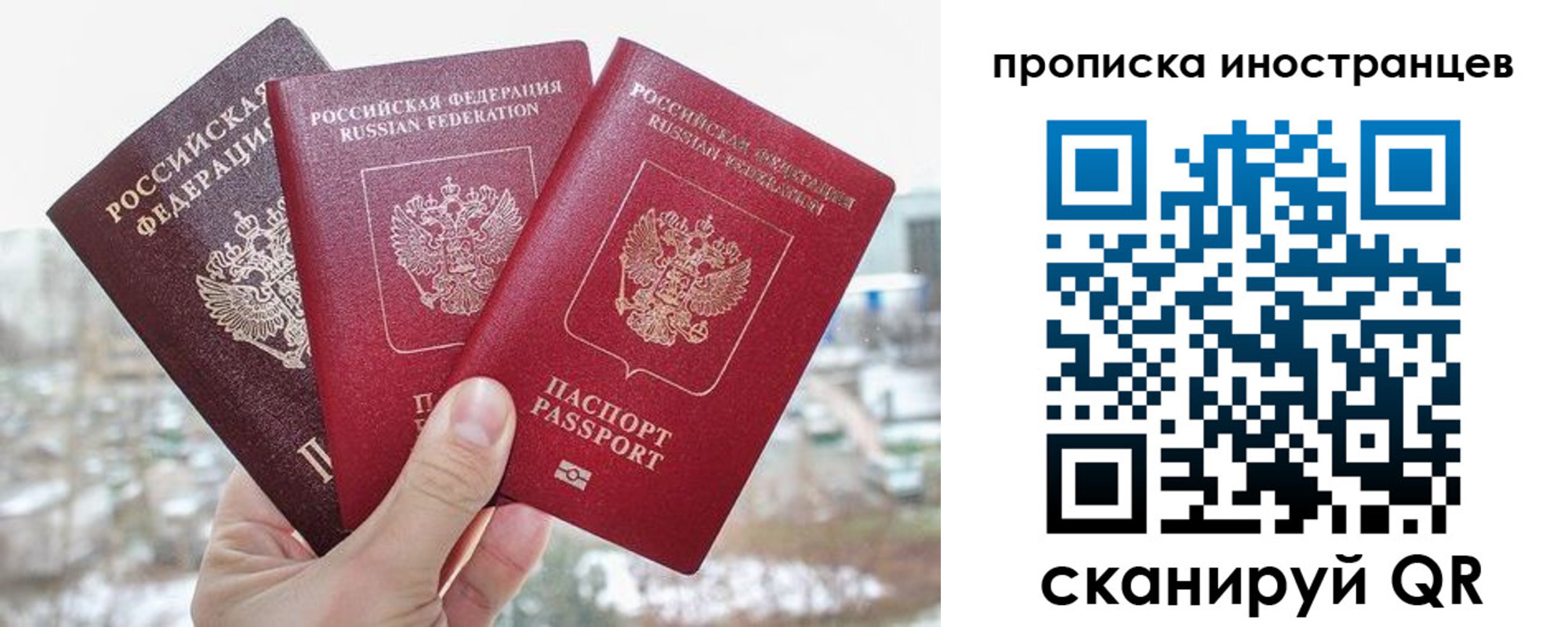 временная регистрация поиск в Амурской области